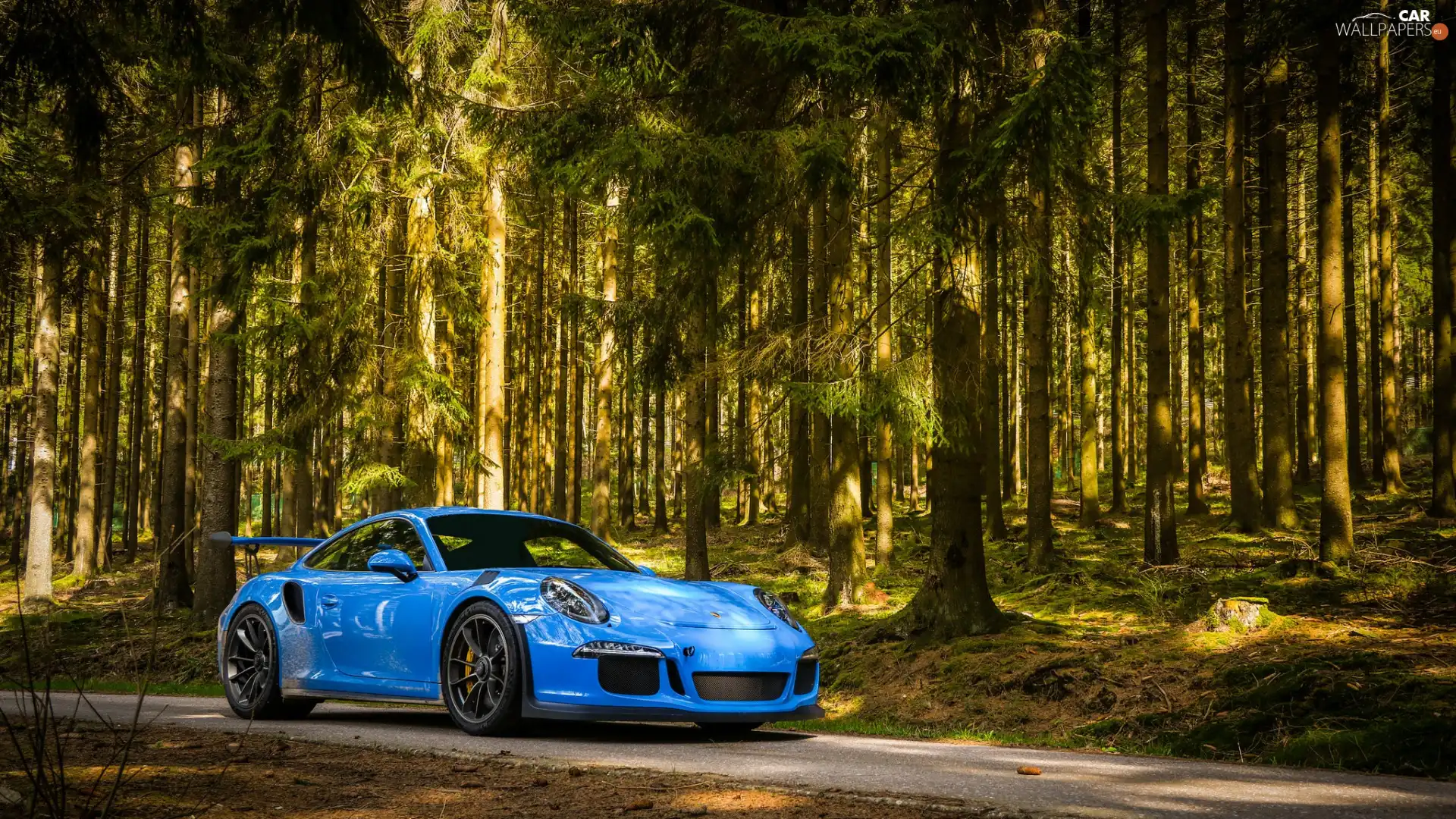 forest, Blue, Porsche 911 GT3