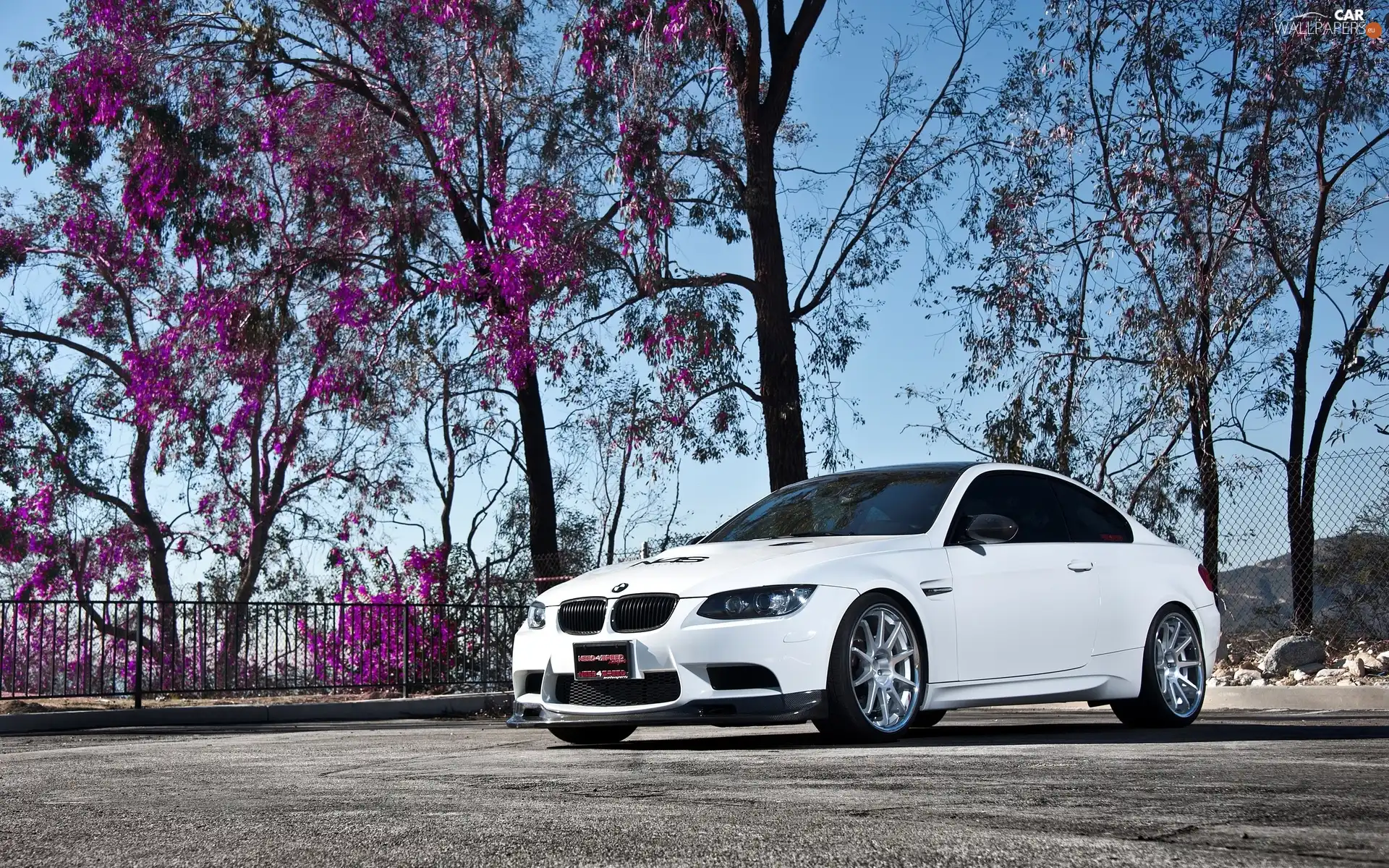 White, BMW M3 Coupe