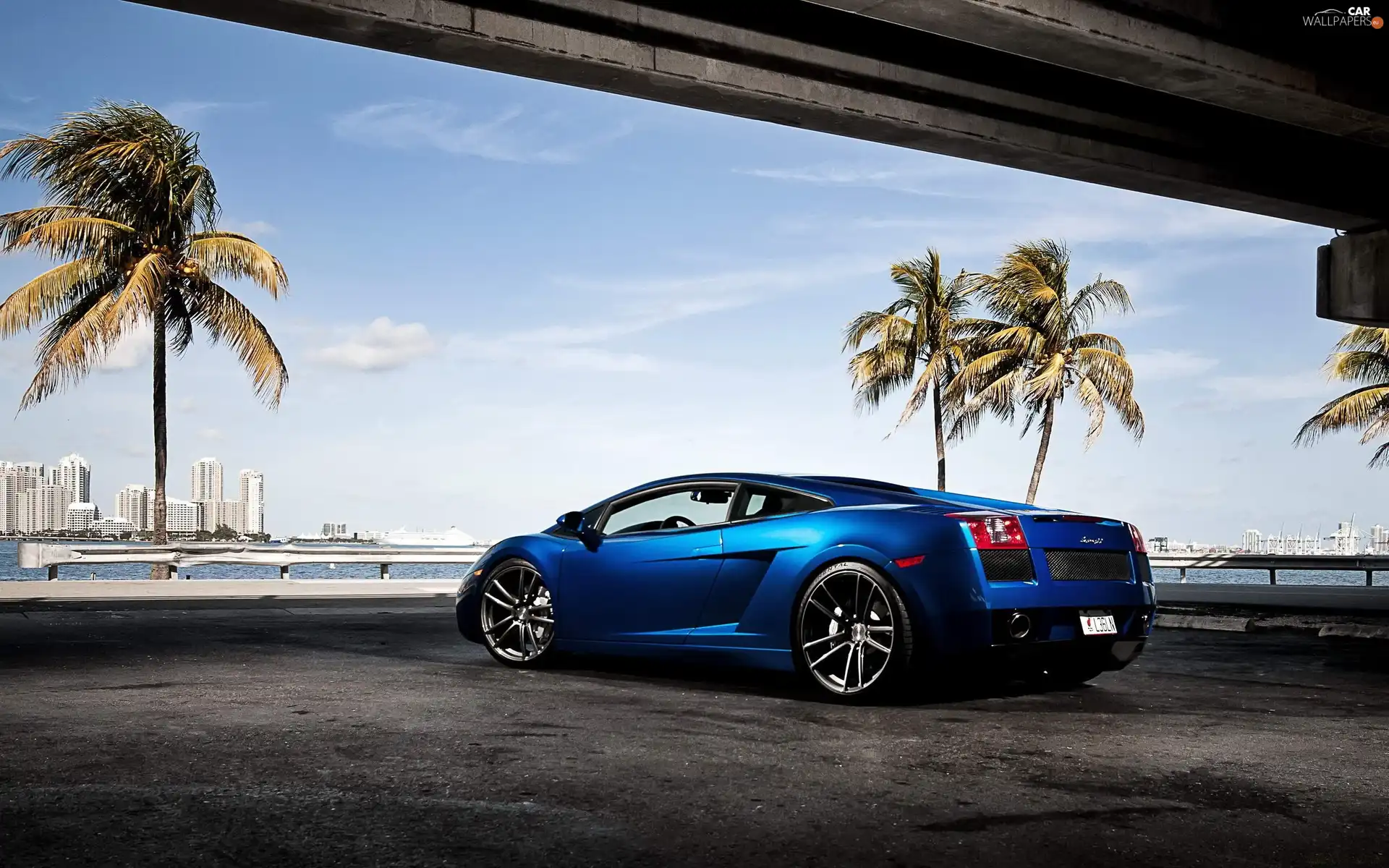 Blue, Lamborghini Gallardo