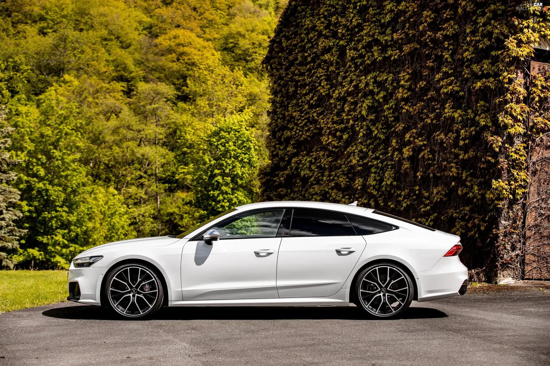 S7, White, viewes, house, trees, Audi A7