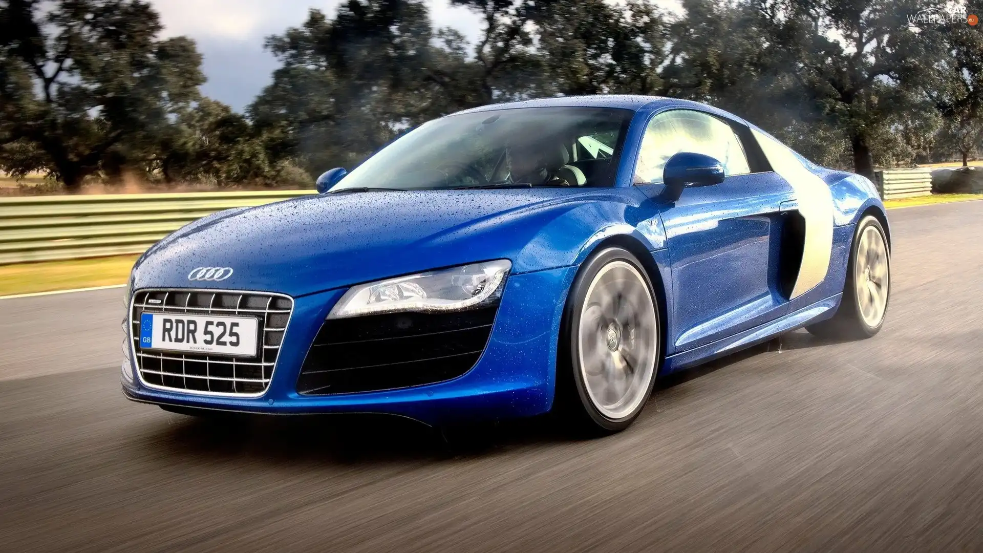 Blue, Audi R8