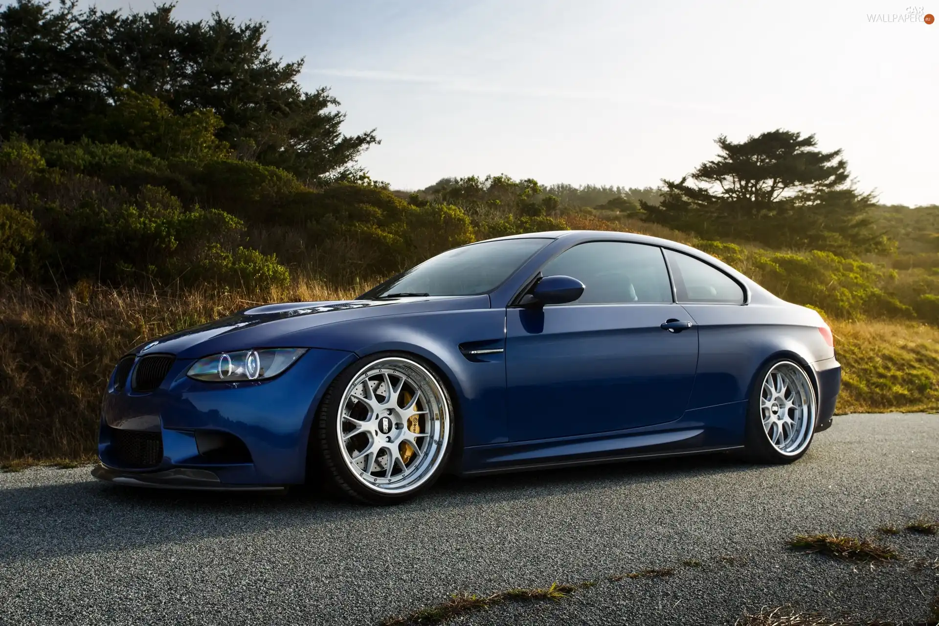 trees, viewes, BMW M5, Way, Blue