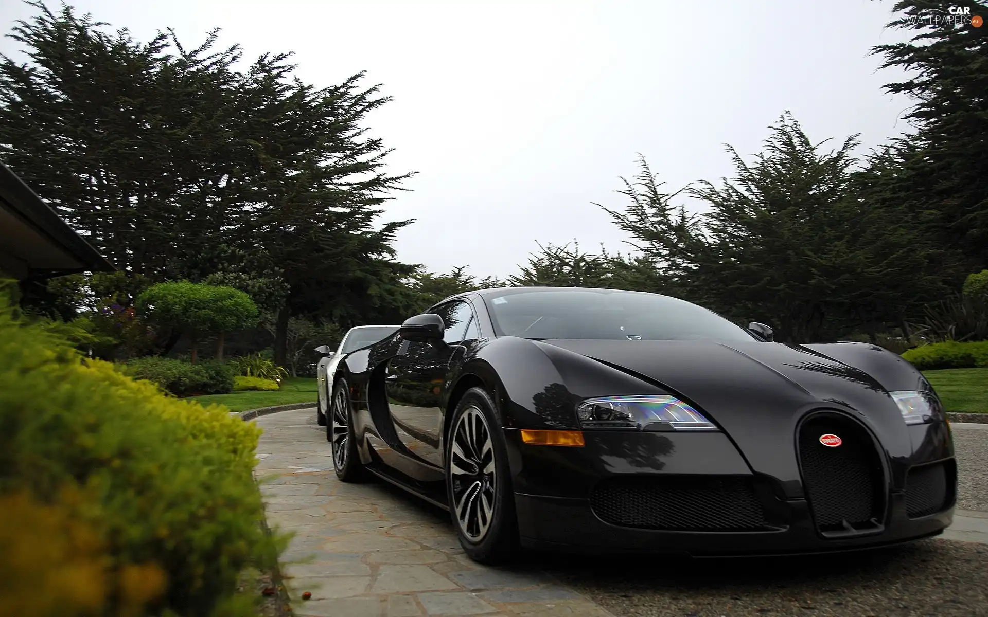Black, Bugatti Veyron