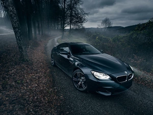 trees, viewes, 2014, Way, BMW M6 Gran Coupe AC Schnitzer