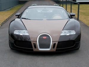 Bugatti Veyron, Brown, Front