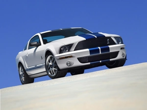pack, Ford Mustang, GT500, Shelby