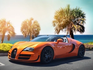 Bugatti, Palms