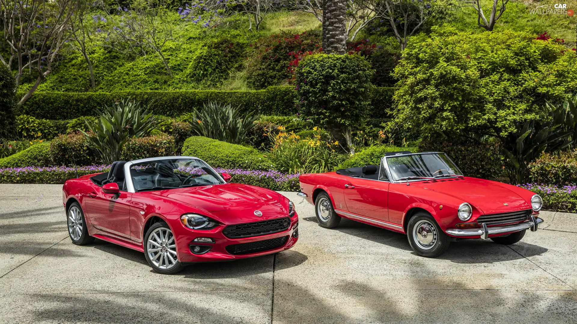 Fiat 124 Spider, Red, cars