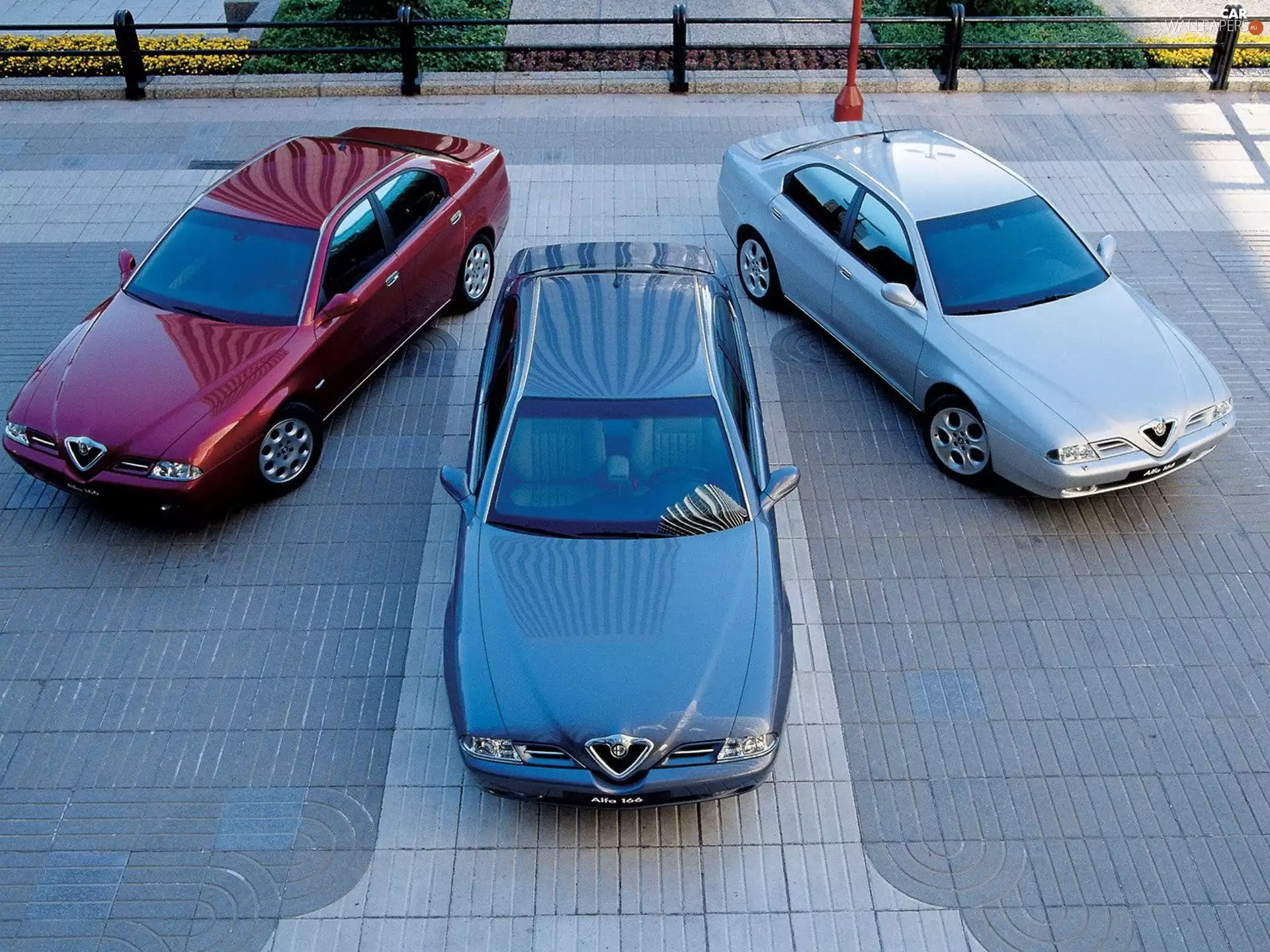 Three, Alfa Romeo 156