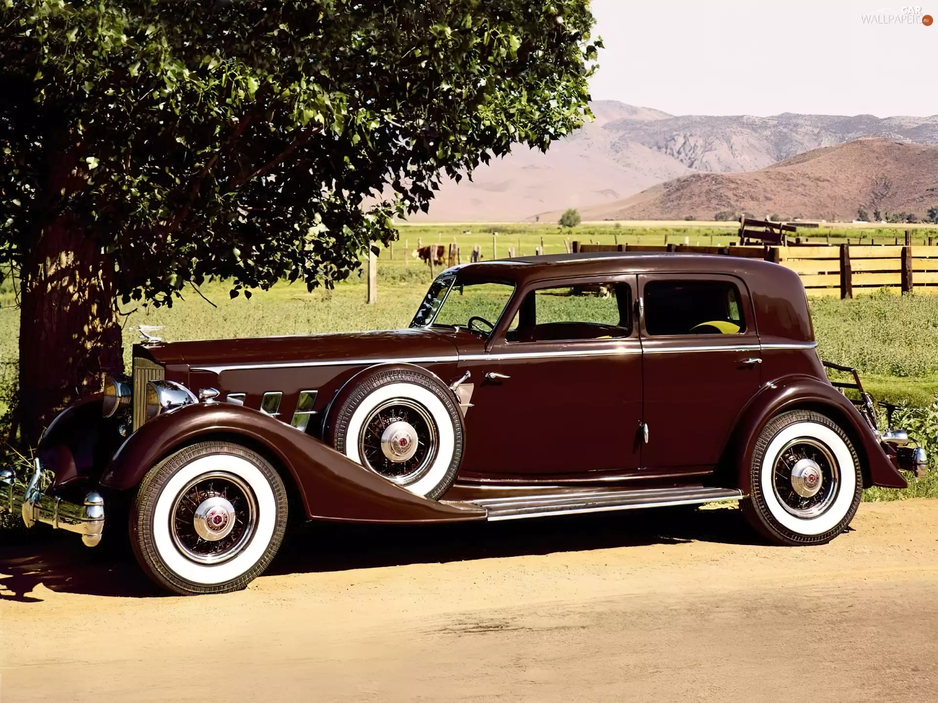 Sedan 160 HP, Automobile, Packard