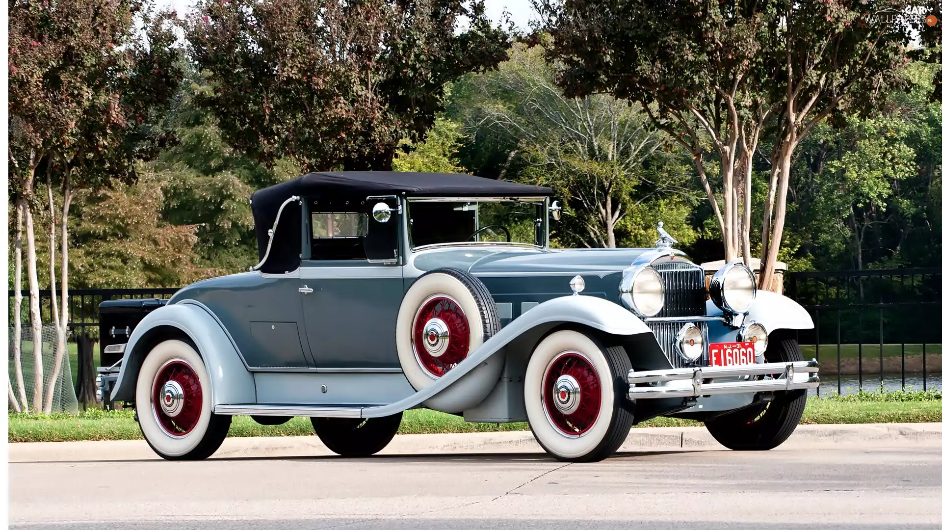 Deluxe, 1931, antique, Packard, Automobile
