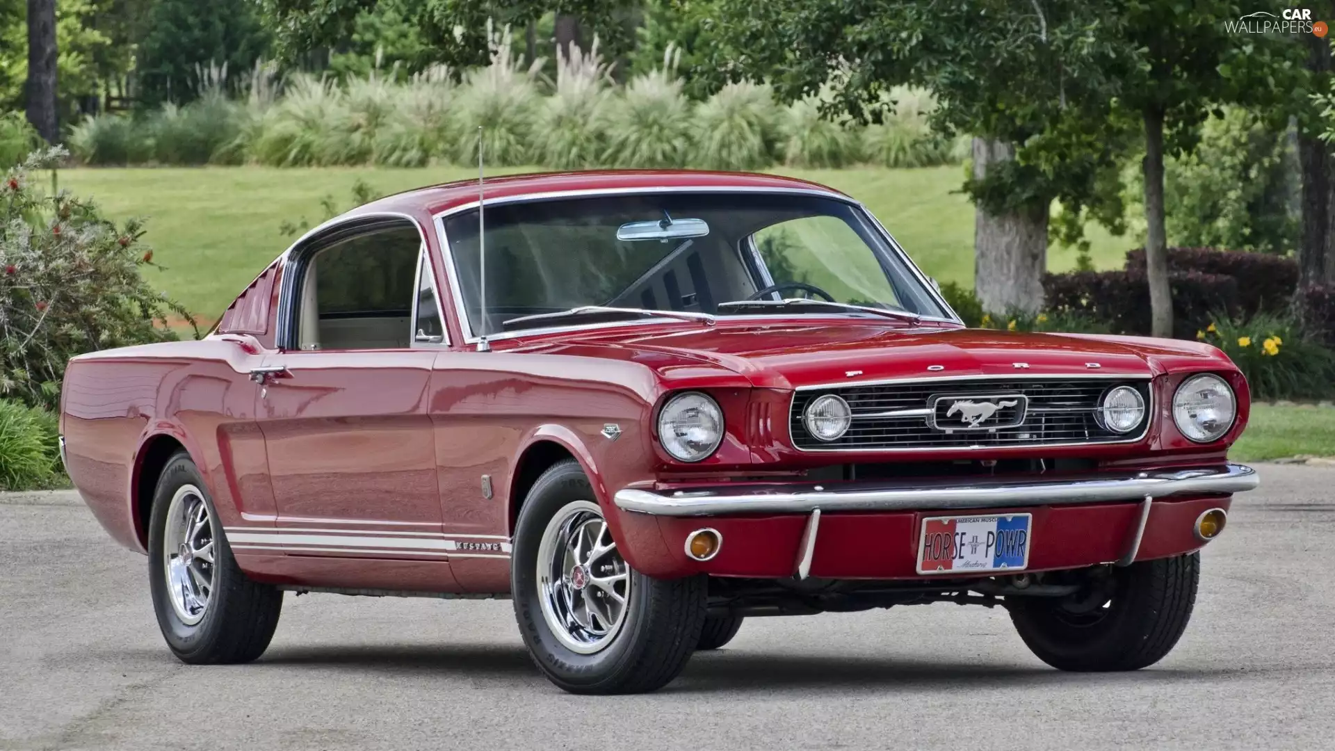 Red, 1966, antique, Ford Mustang