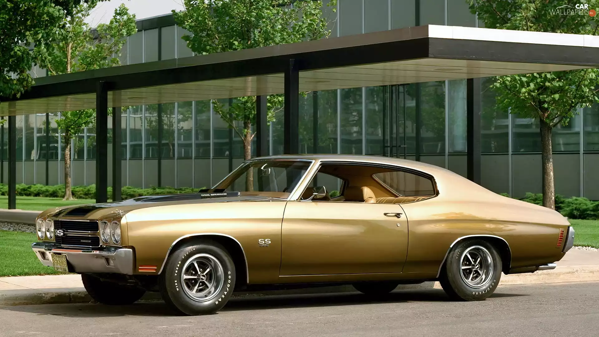 antique, 1970 Chevelle SS, Automobile