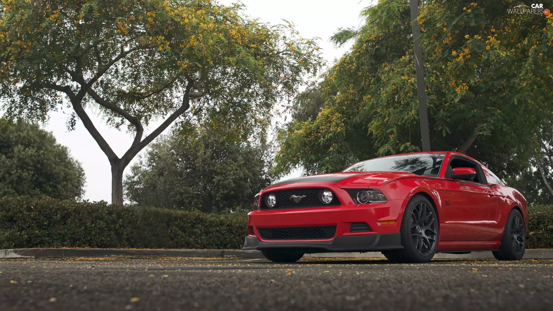 Red, Ford Mustang, 2013
