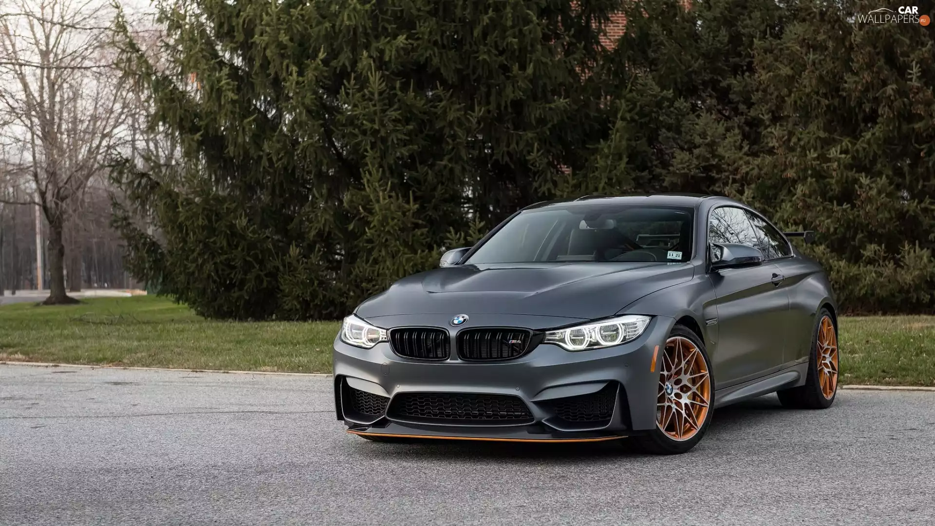 BMW M4 GTS, 2015