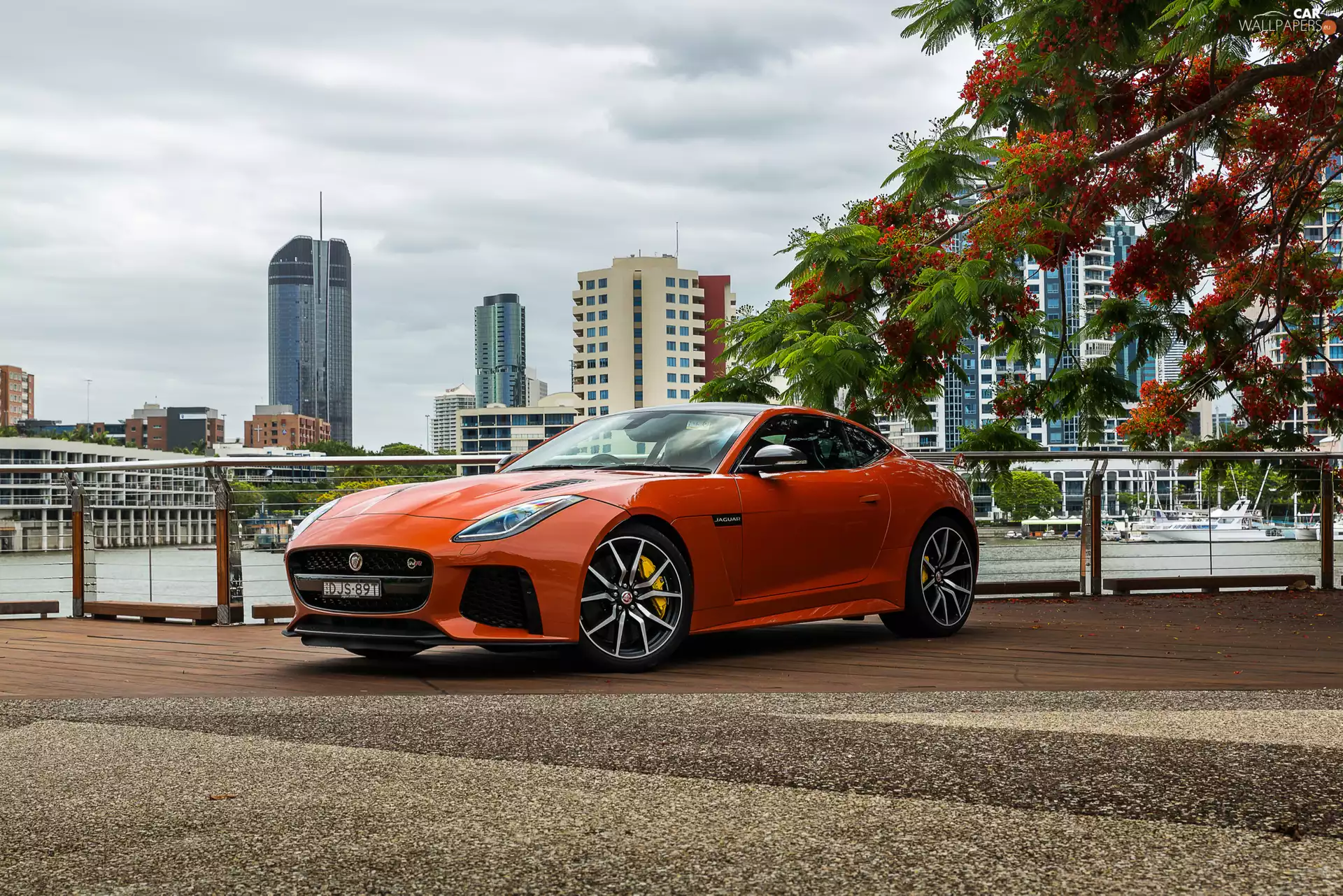 2016-2017, Jaguar F-Type SVR Coupe, Orange Metallic