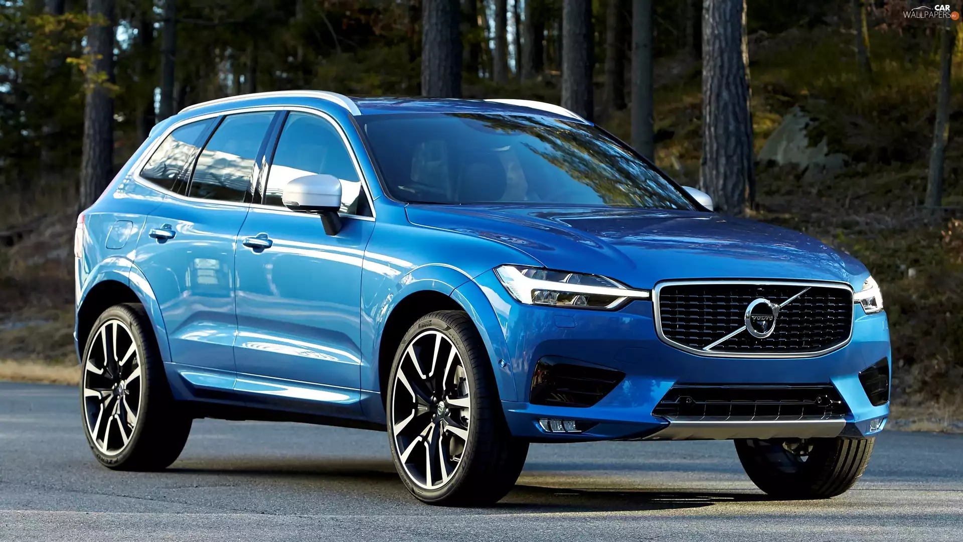 Blue, 2017, forest, Volvo XC60