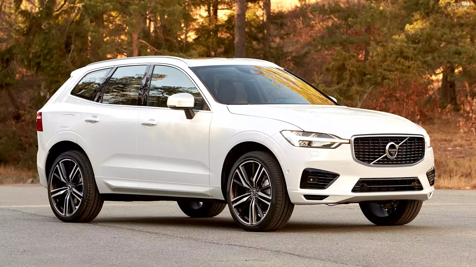 White, 2017, forest, Volvo XC60
