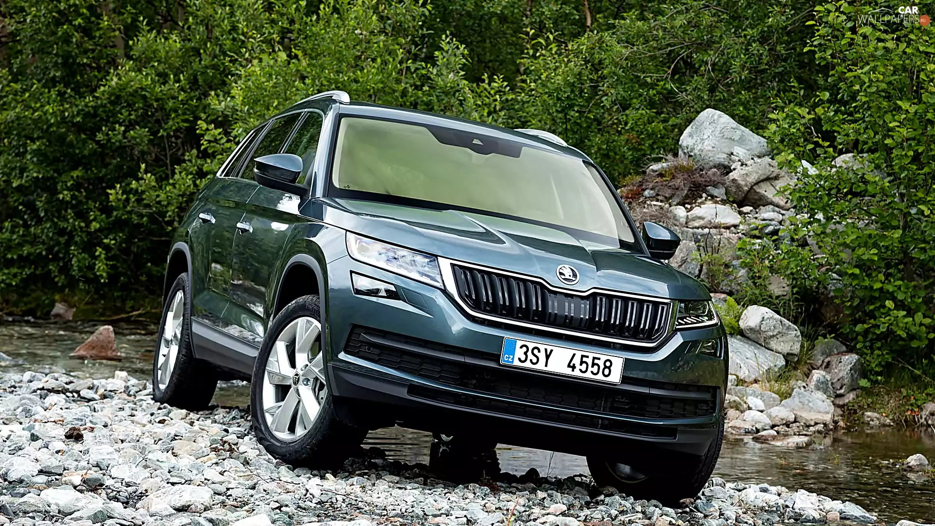 Stones, Skoda Kodiaq, 2017