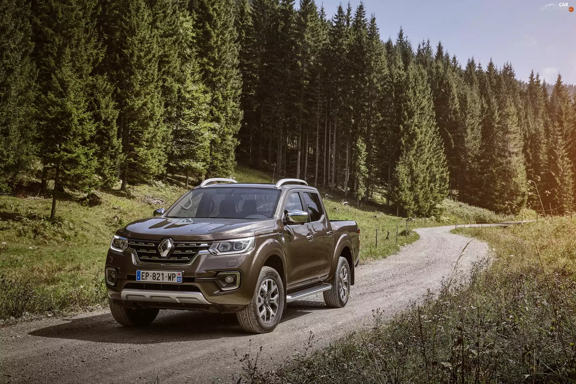 Way, Renault Alaskan, 2017