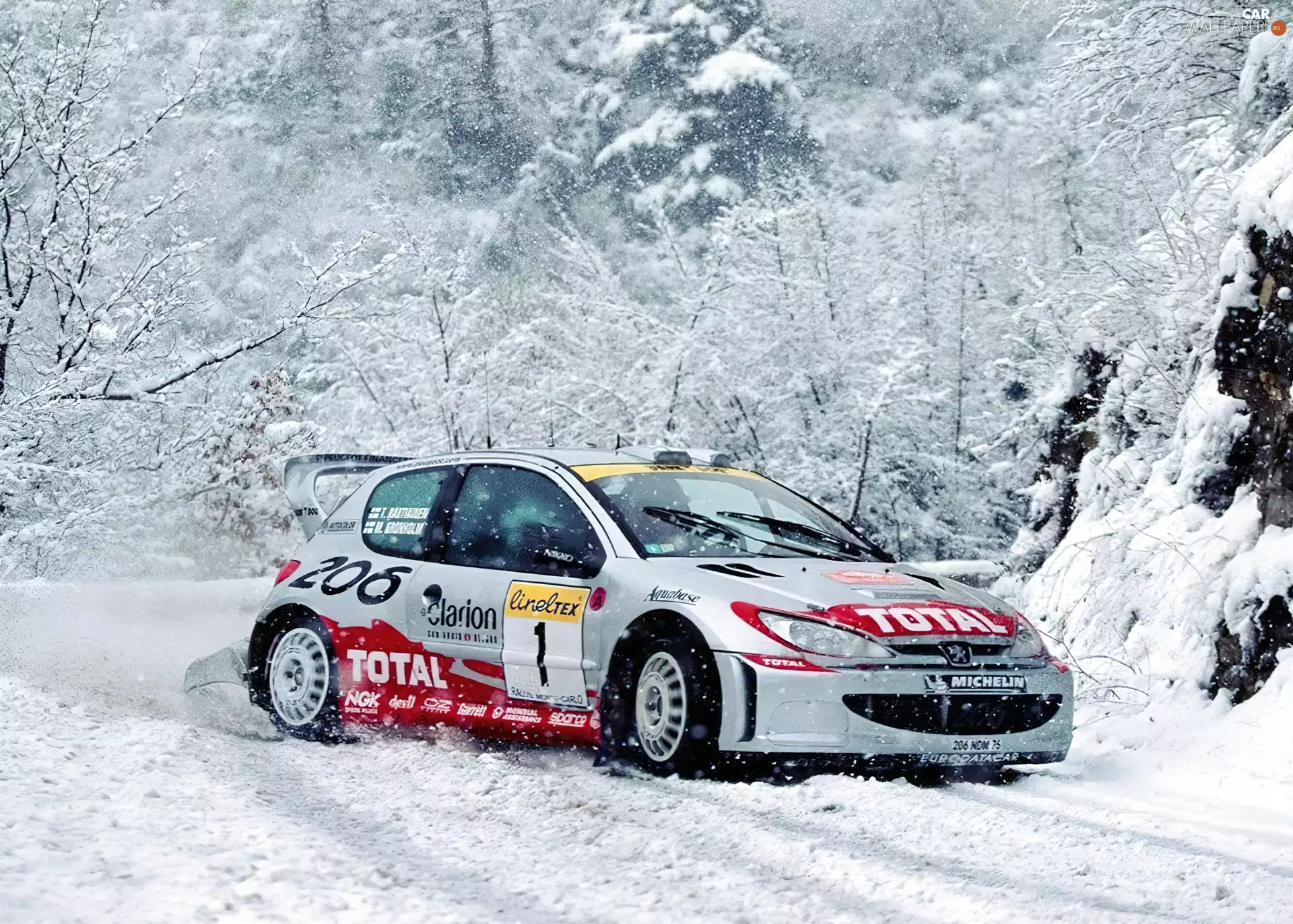 Rally automobile, Peugeot 206