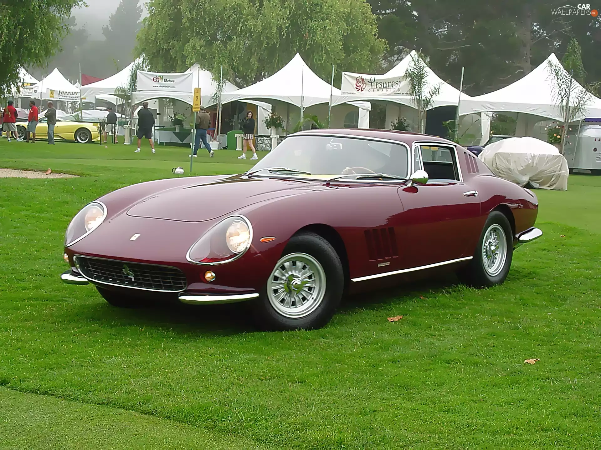 rally, claret, Ferrari 275