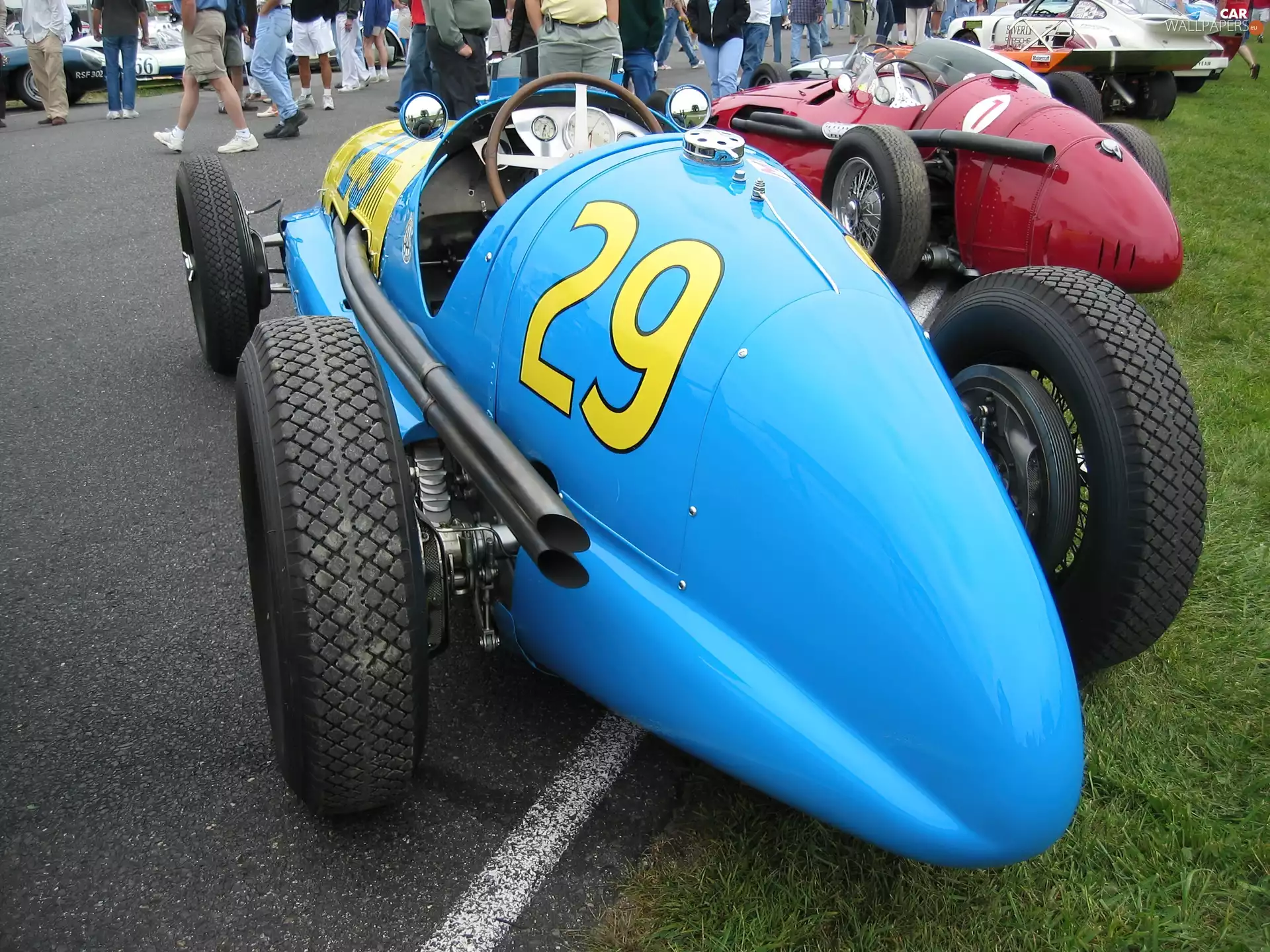 maserati, wheel, driver, 29