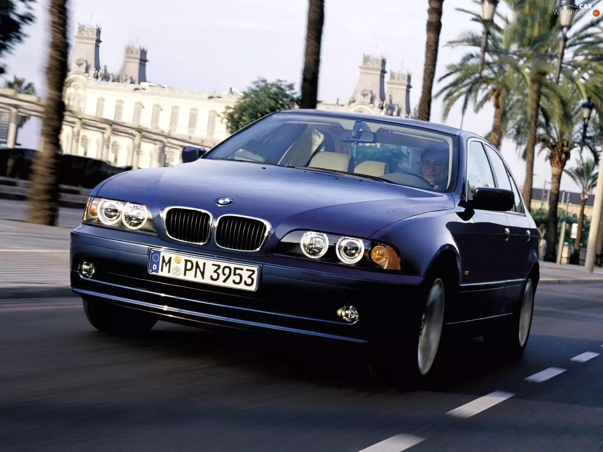 blue, BMW E 39