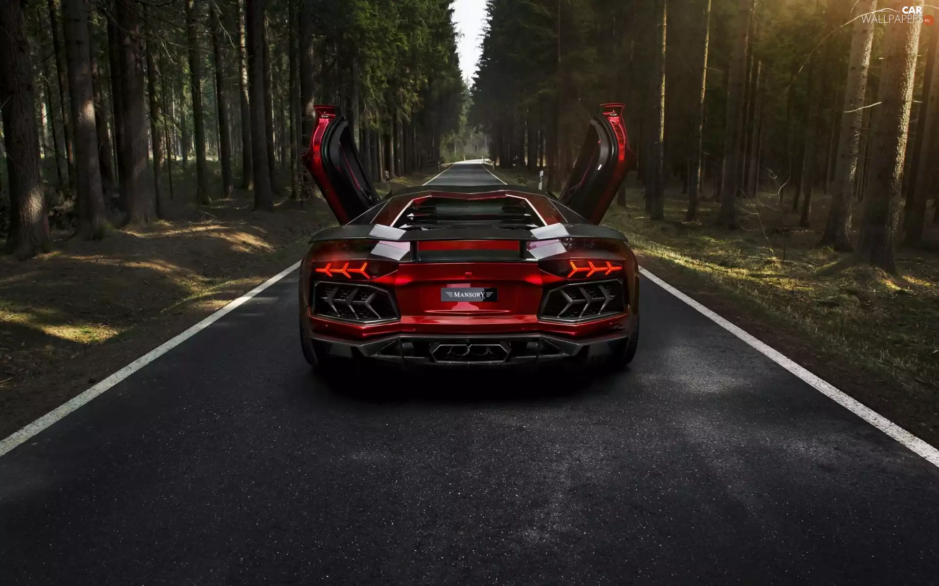 Lamborghini Aventador LP700-4 Mansory, 2012