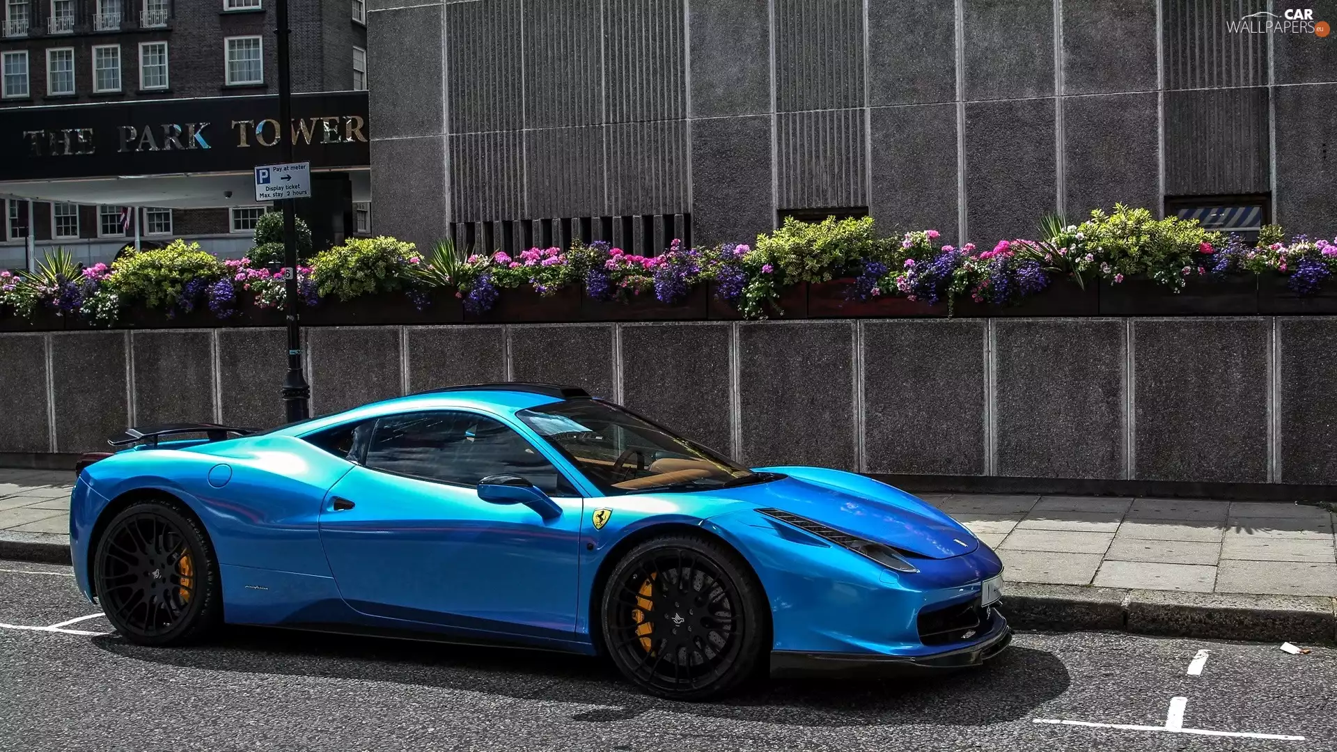 Street, Flowerpots, Ferrari, 458 Italia, Automobile