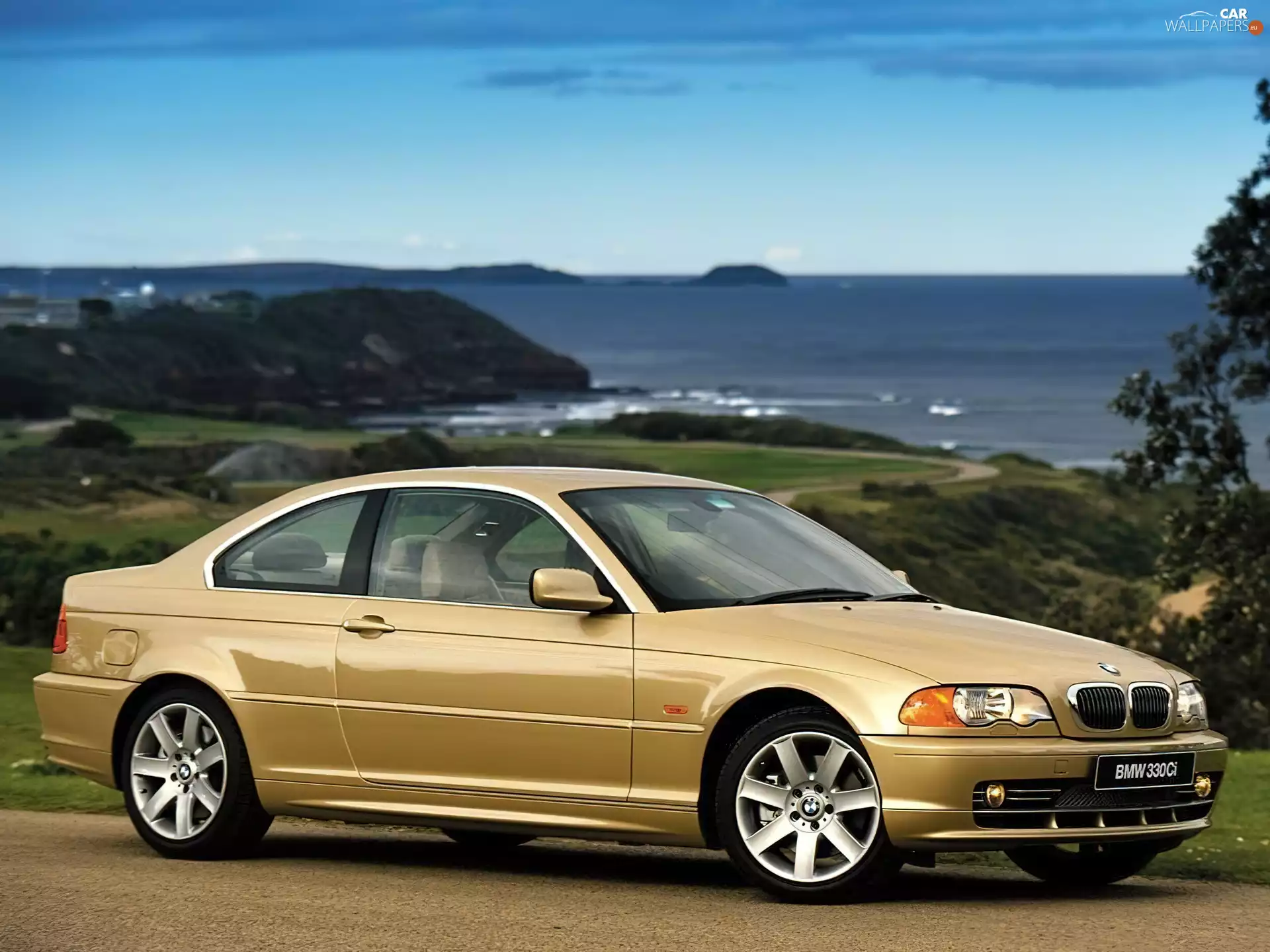 Golden, BMW E 46