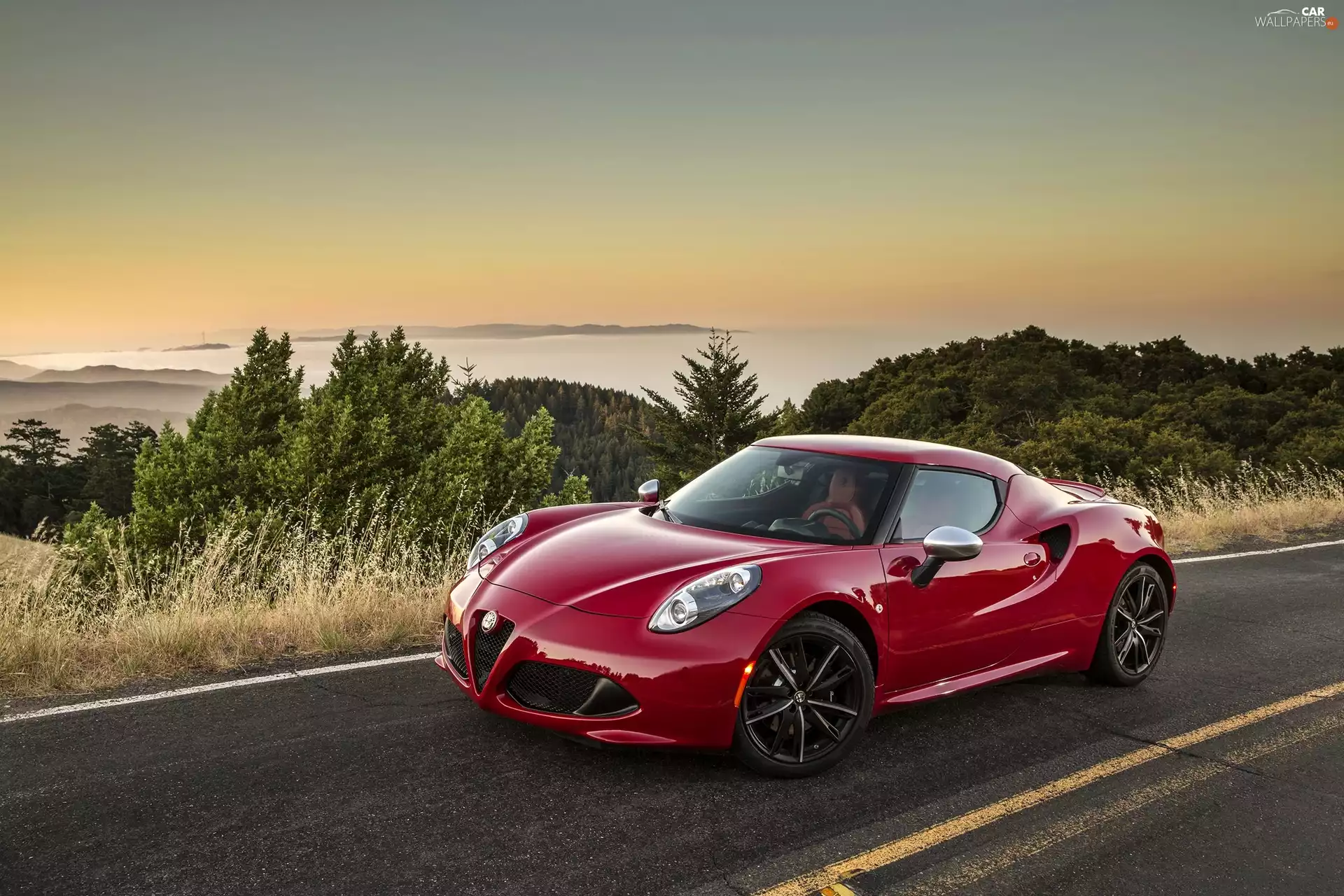 Red, Alfa Romeo 4C