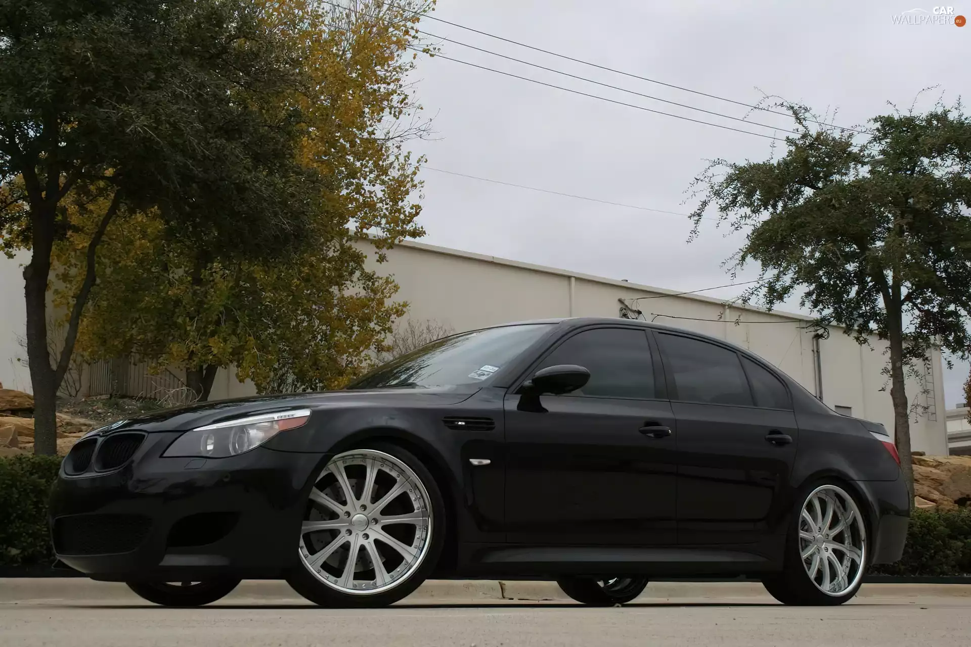 Street, wall, BMW 5, E60, Black