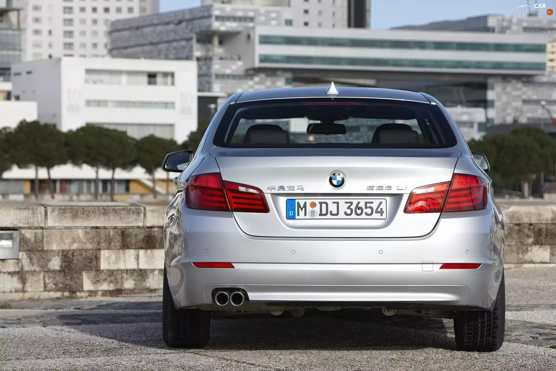 China, Back, BMW 5 Series F10