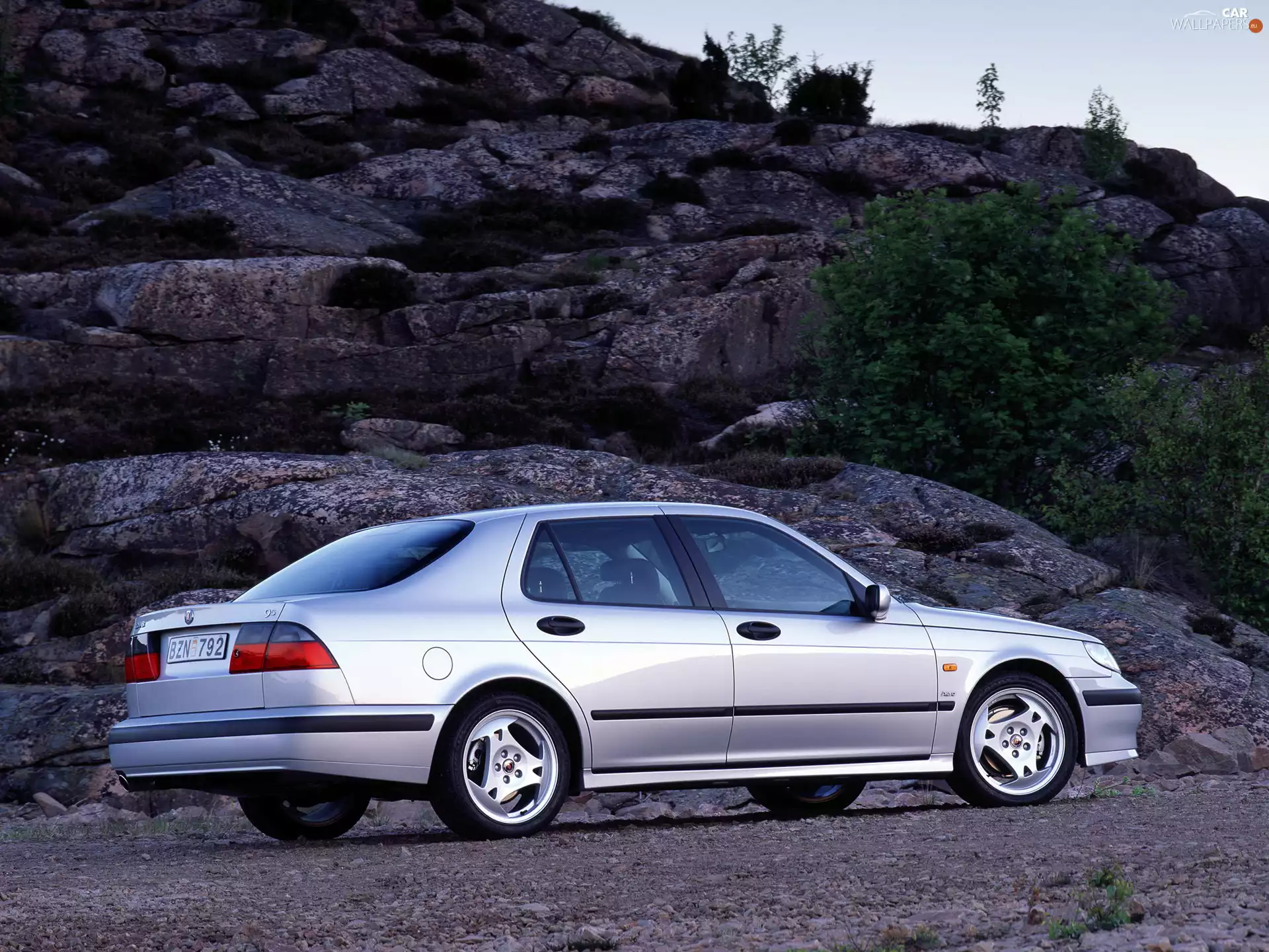 silver, Saab 9-5
