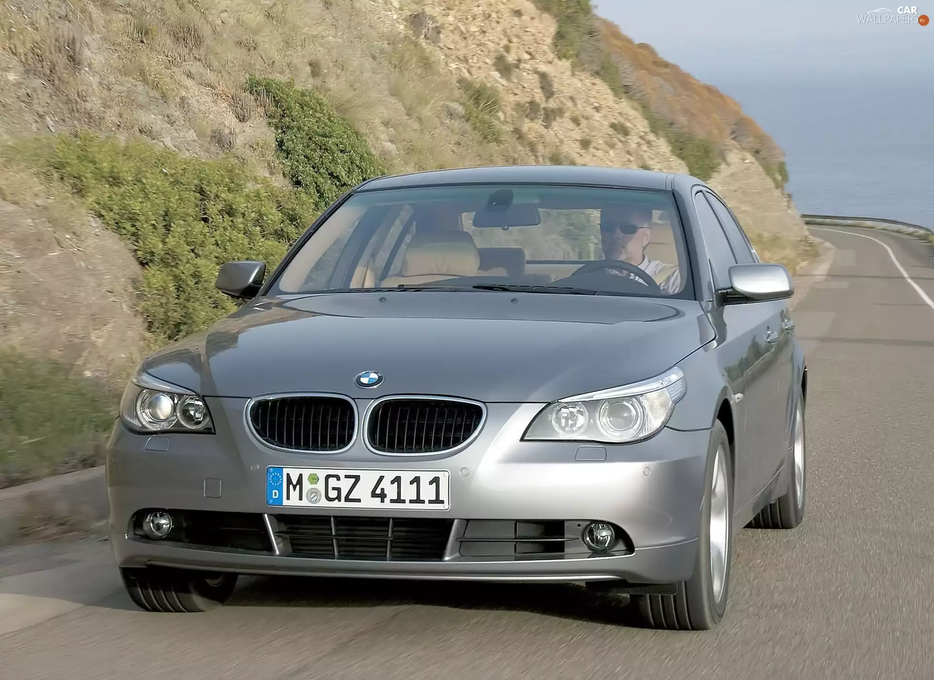 Mountains, Way, BMW 5, E60, Silver