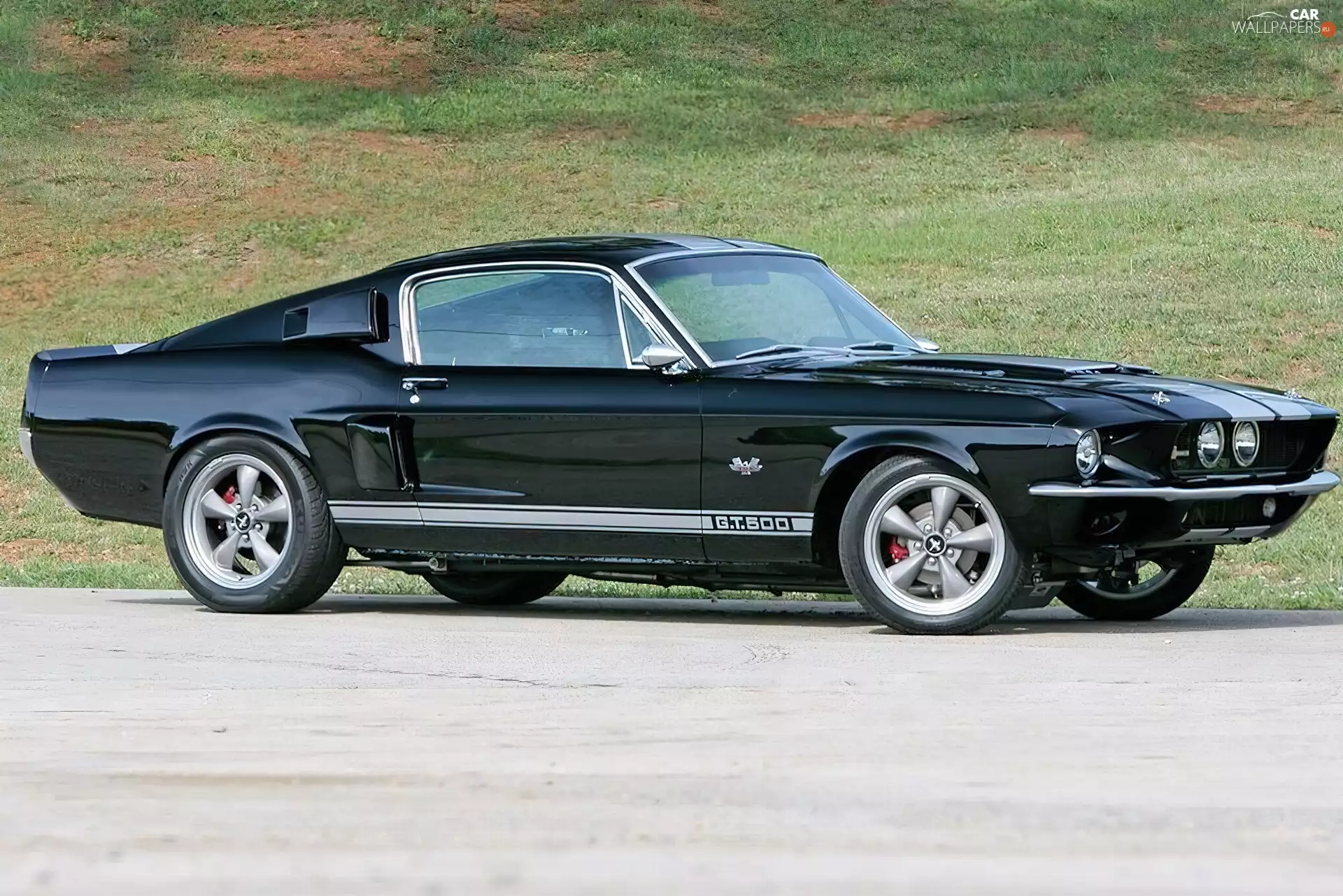 Ford Mustang GT 500
