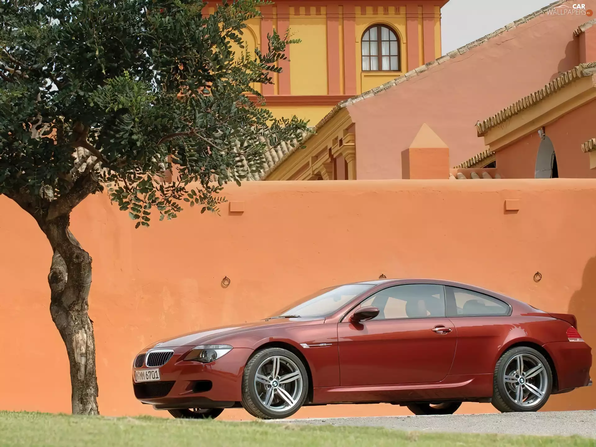 trees, Claret, BMW 6