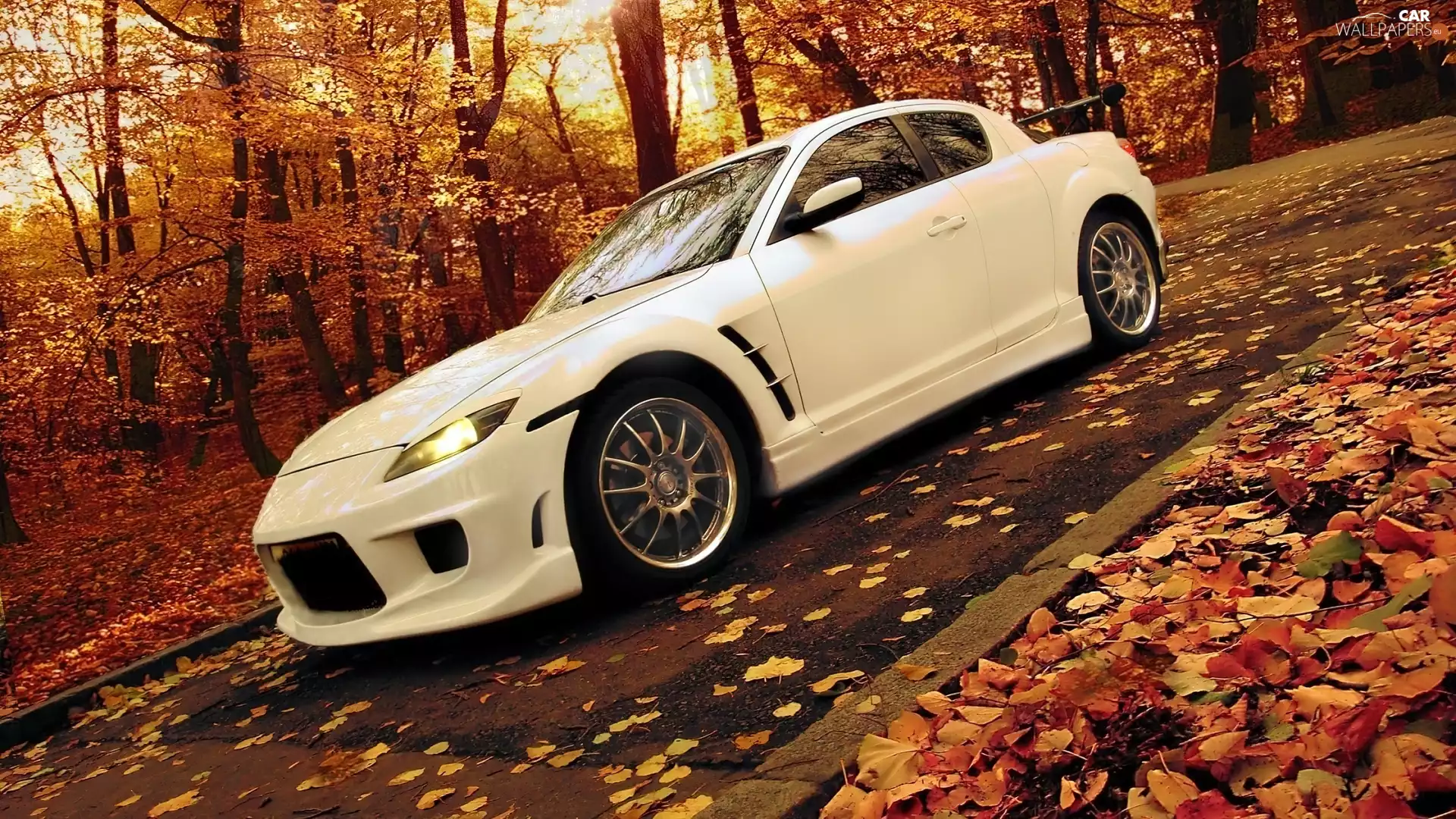forest, Way, Rx-8, autumn, Mazda