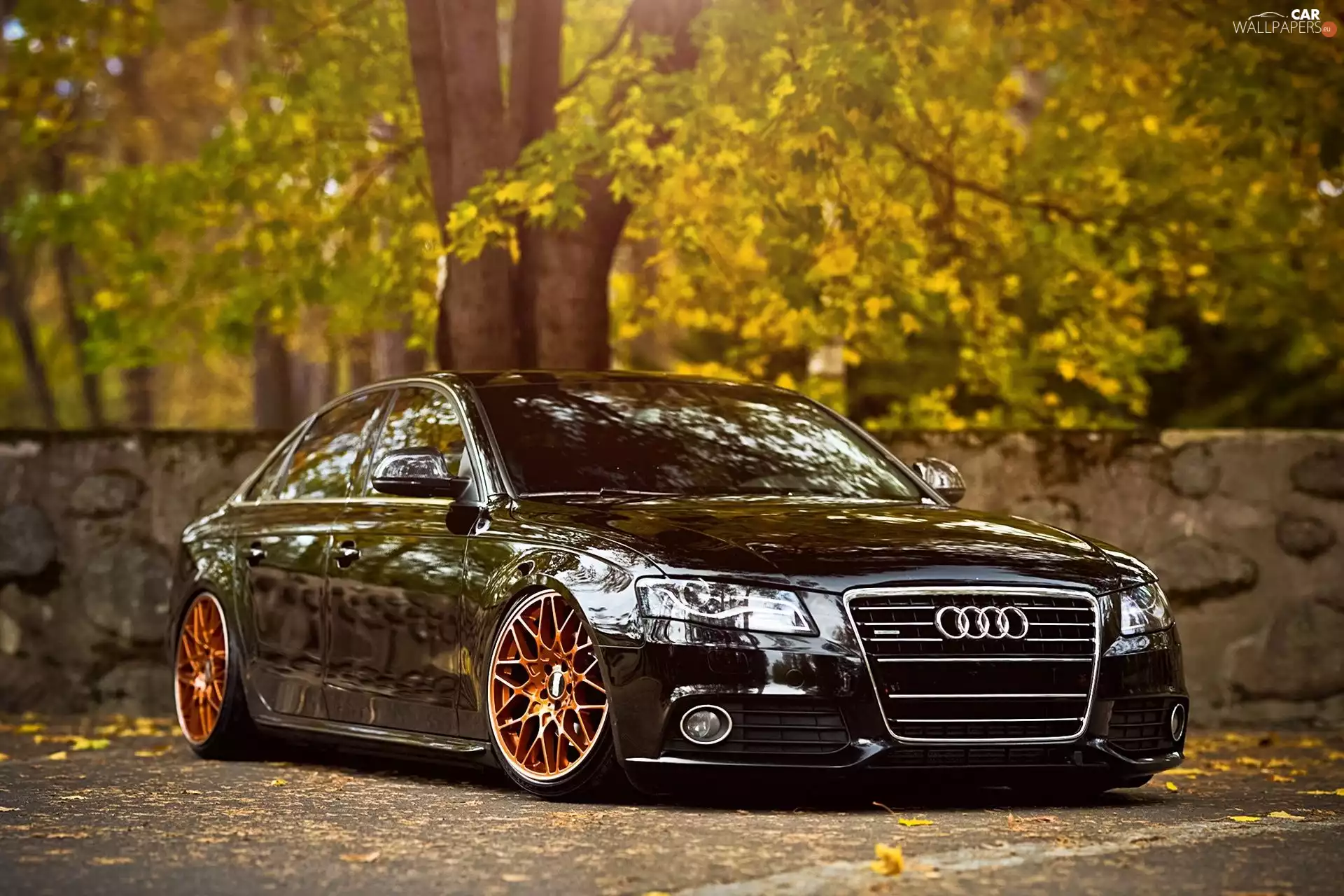 Audi, B8, glamour, A4