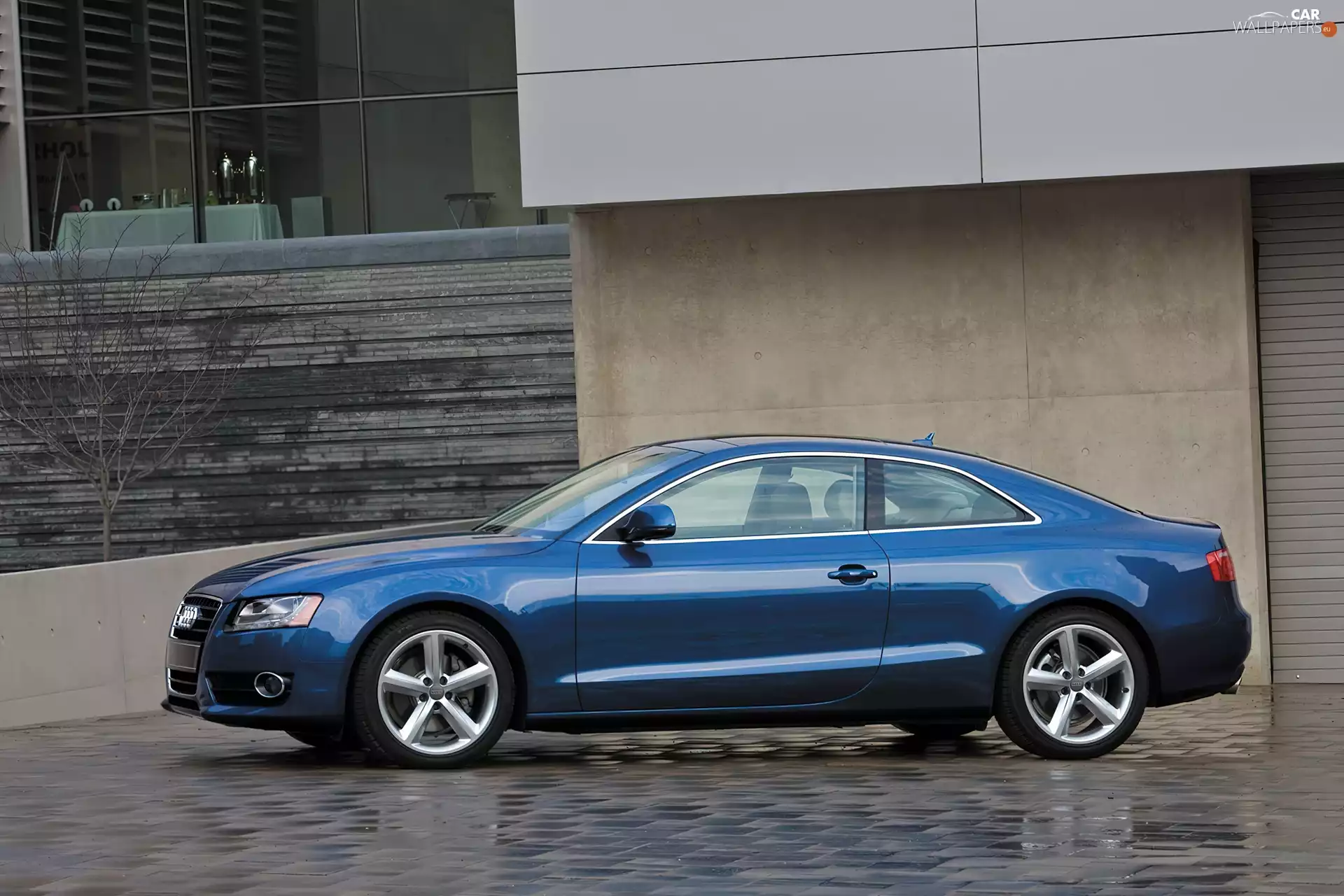 Doors, Blue, Audi A5