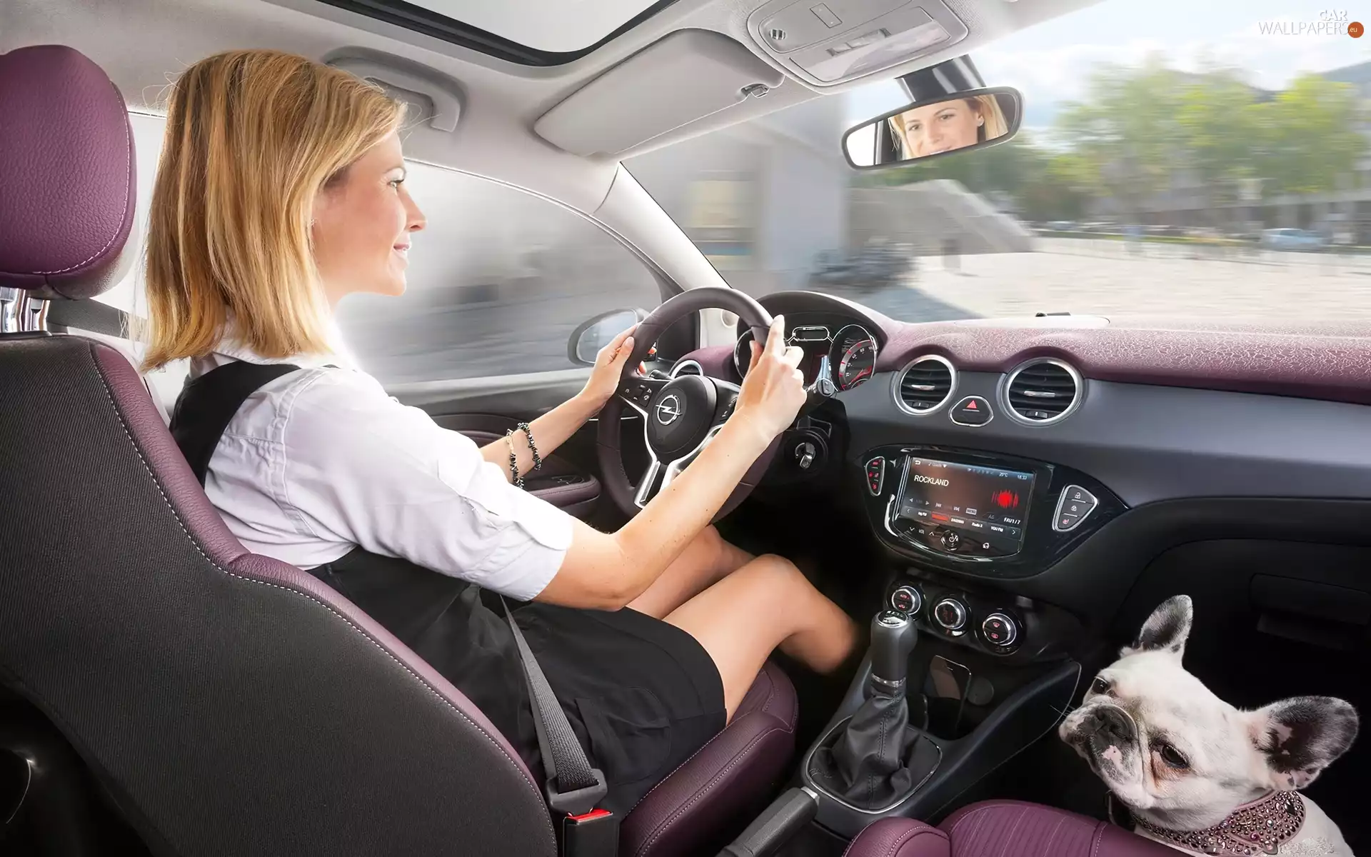 Opel Adam, Women, dog, interior