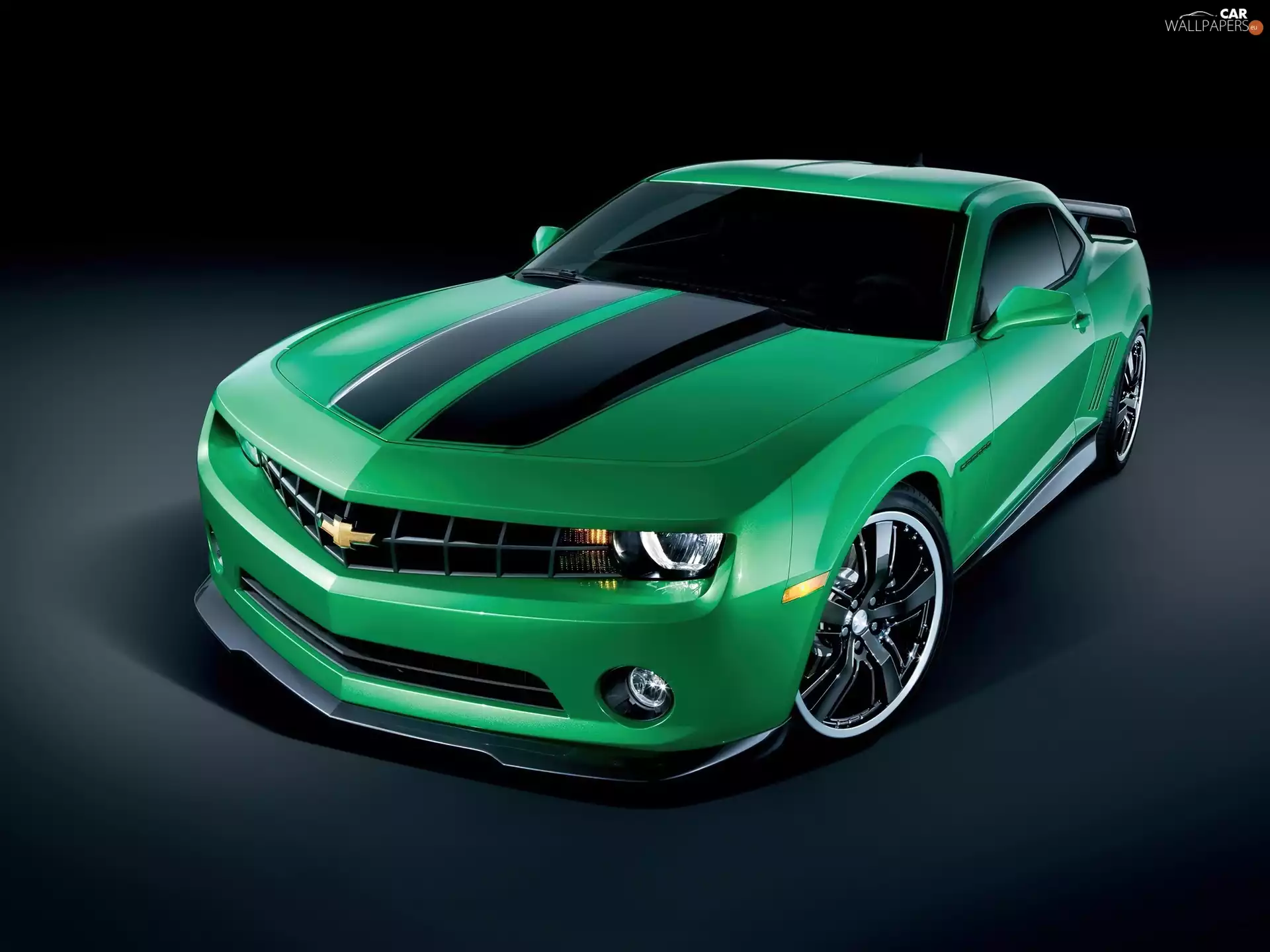 aspect, Chevrolet Camaro, aggressive