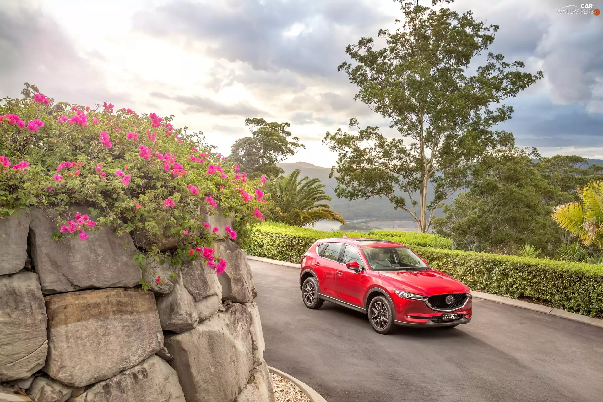 wall, trees, 2017, Way, Mazda CX-5 Akera