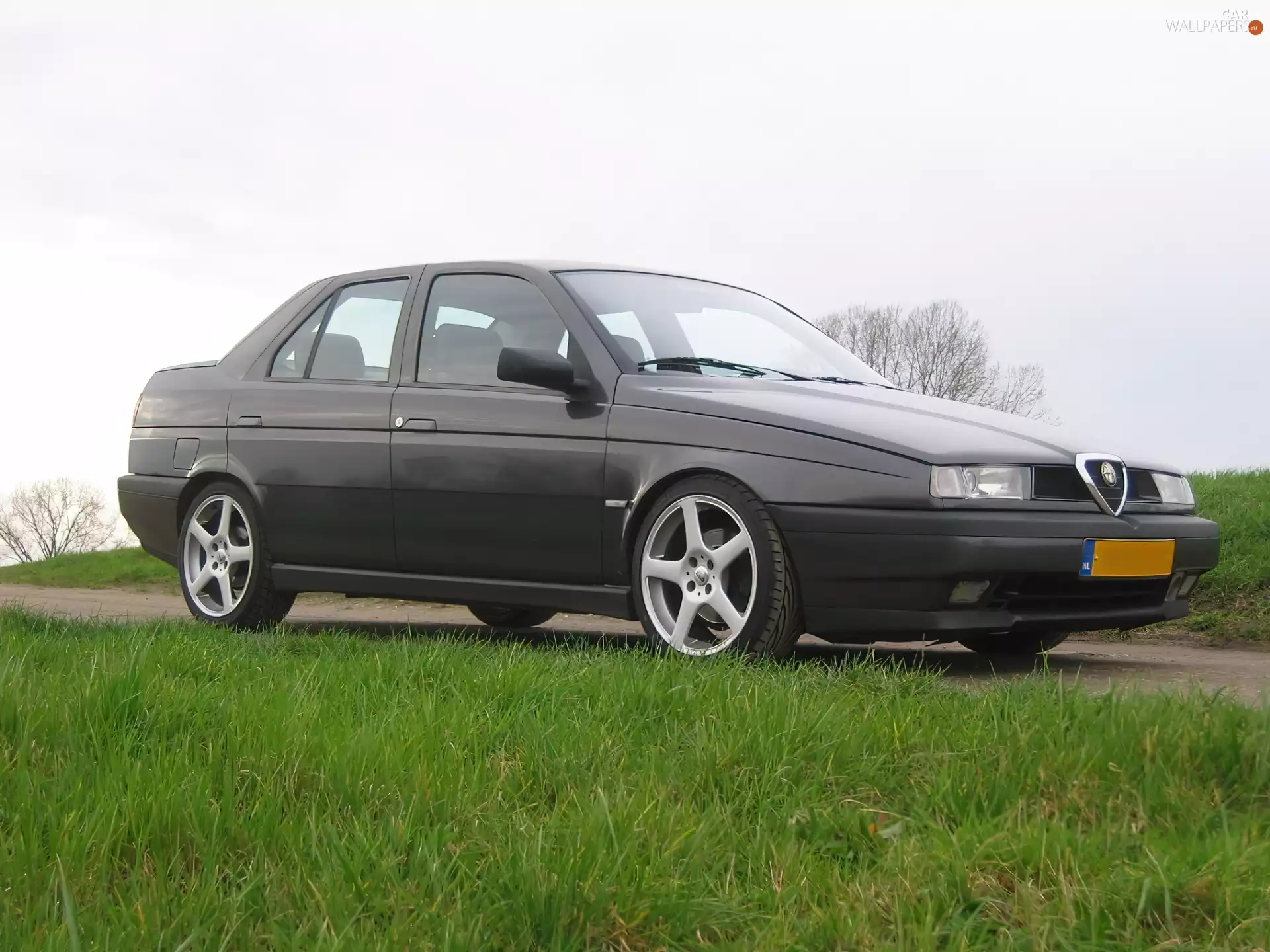 Alfa Romeo 155