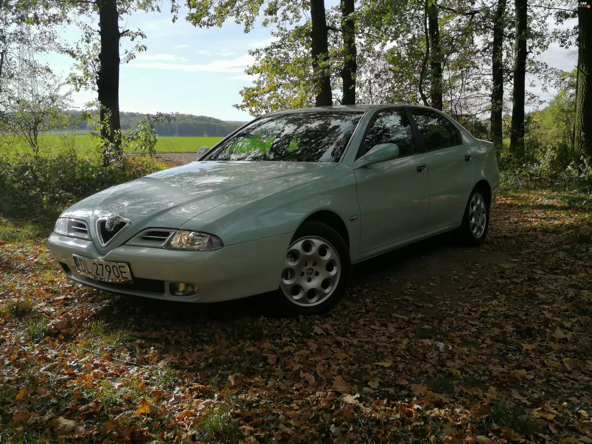 viewes, Alfa Romeo 166, trees