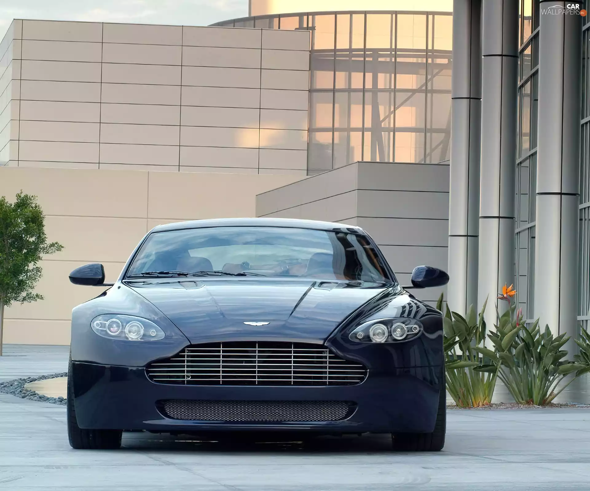 Front, Aston Martin AMV8