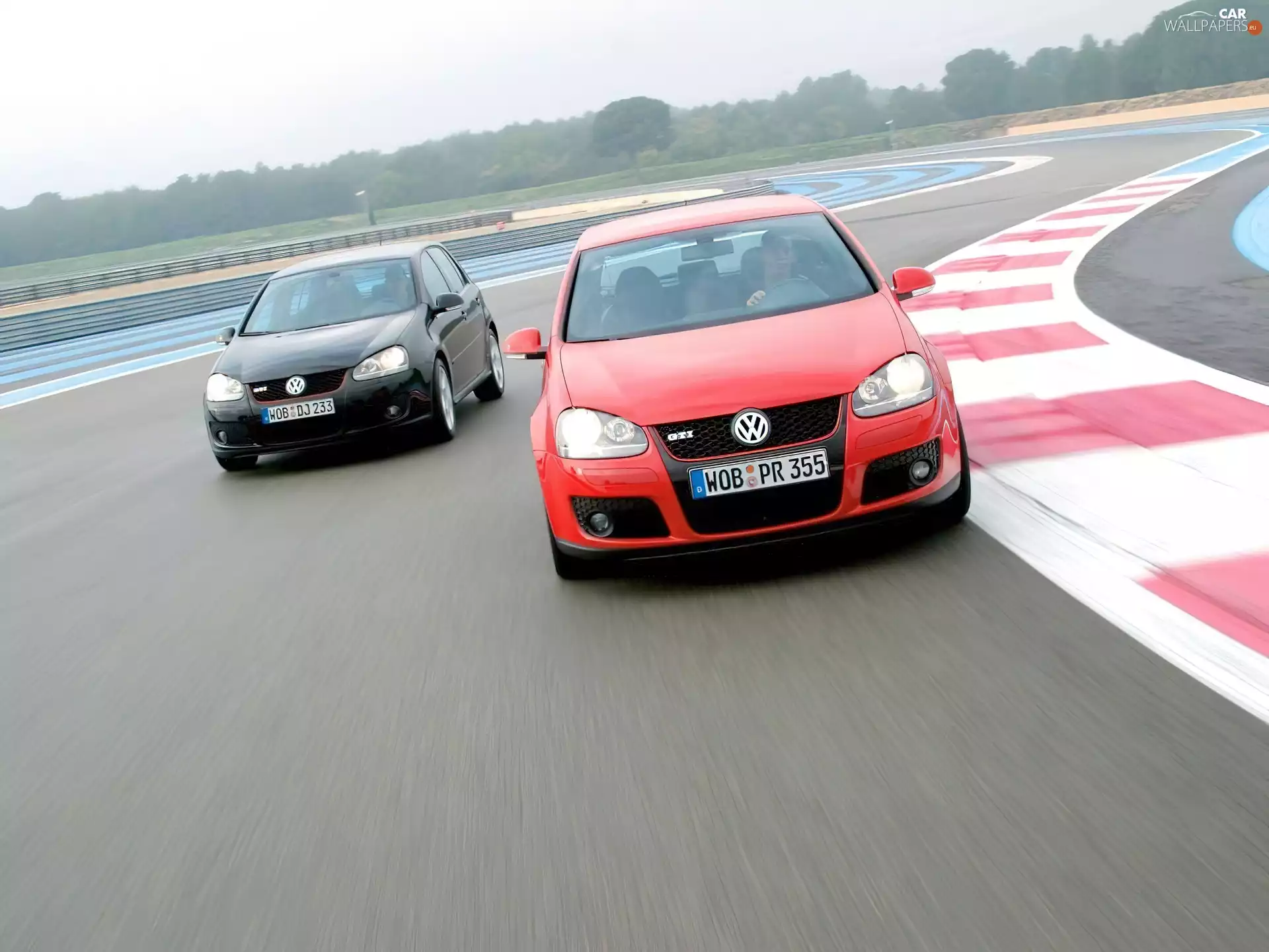 Black and red, Golf 5