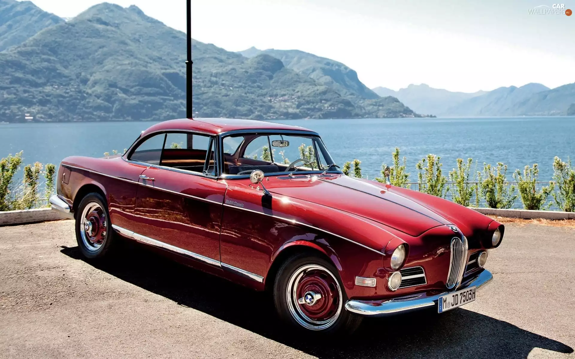 1956, antique, BMW 503 Coupe