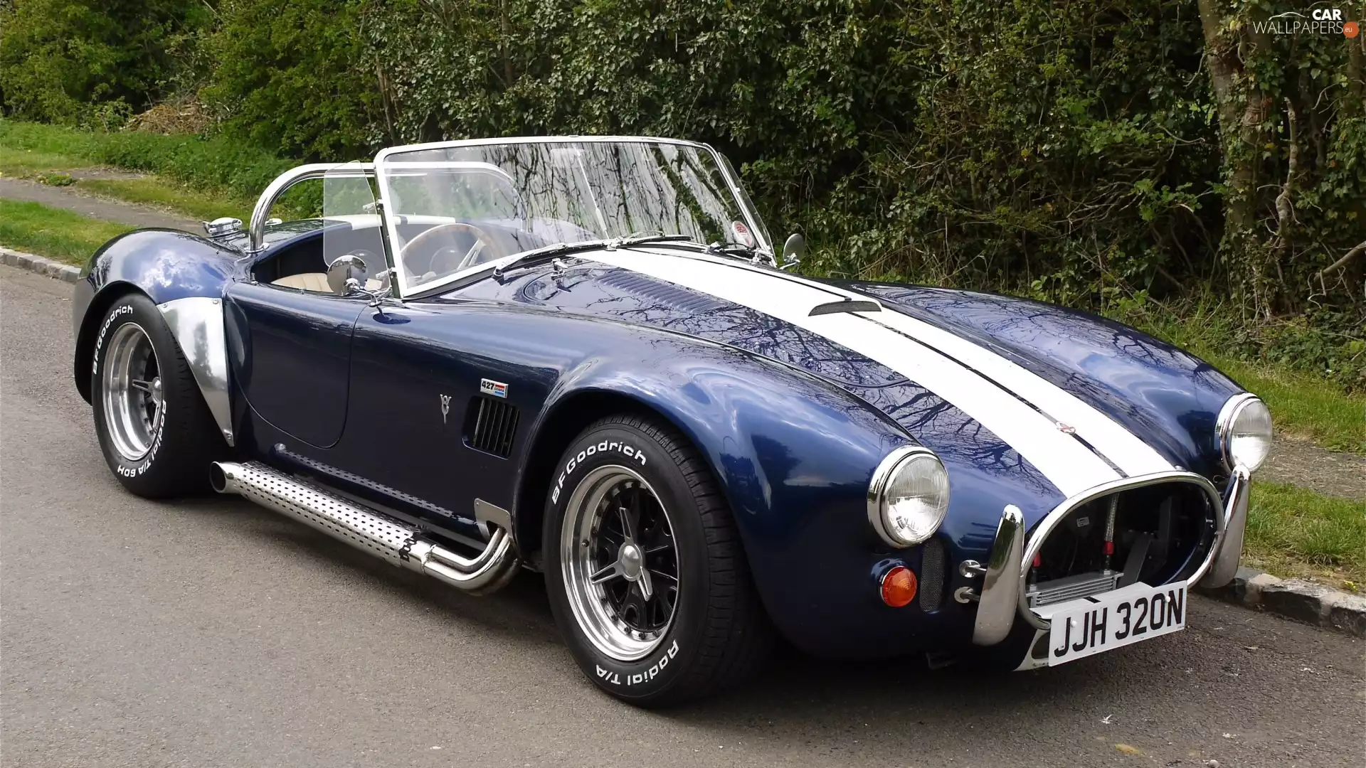 Shelby Cobra, 1965, antique, AC Cobra